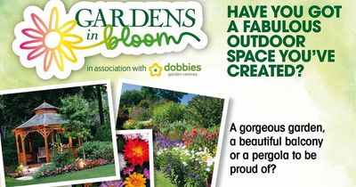 Gardens in Bloom - £250 to be won to spend at Dobbies Garden Centre - VOTE NOW