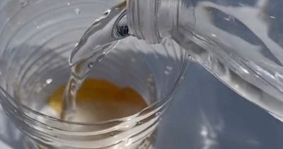 Easy 55p hack to get rid of flies in your home within minutes using kitchen basics