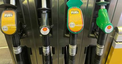 Petrol stations accused of not lowering cost of fuel in line with fall in wholesale prices