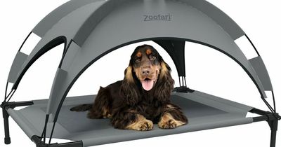 Lidl's dog bed to keep your pooch shaded from the sun is back