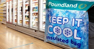 Poundland's grocery sales rise as cost of the living crisis bites