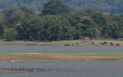 A direct approach to conservation