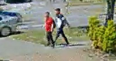 Police hunt for man who kissed toddler on her face before walking away 'laughing'