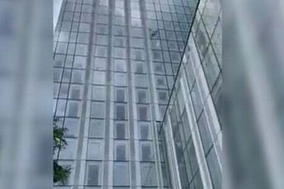 Moment glass window falls 13 stories off skyscraper after impact from bird