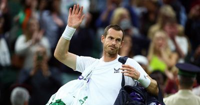 Andy Murray sees Wimbledon dream blown apart by king of aces John Isner