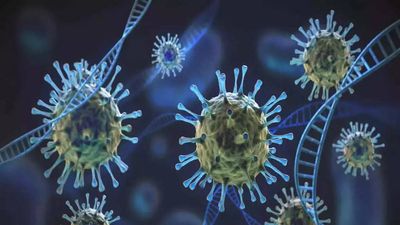 Omicron's BA.5 variant driving case spike in Bengal, shows test on samples