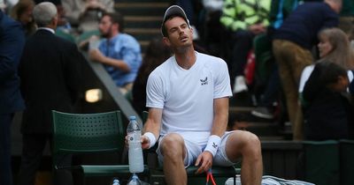 Andy Murray: 'I love Wimbledon, I wanted to do well - this definitely hurts'