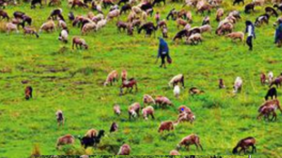 Unique ID number for all Maharashtra land parcels likely in a fortnight