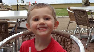 William Tyrrell's foster mother used wooden spoon to hit young girl, court hears