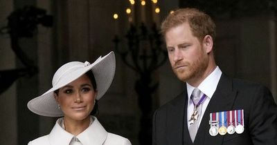 Meghan and Harry arrangement is good deal for UK public, says palace source