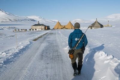 Arctic police make sure far north doesn't go too Wild West