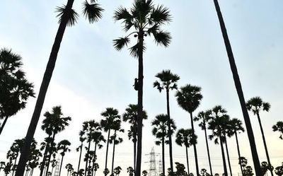 A teacher’s green mission in Odisha