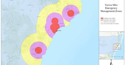 Bee biosecurity zones from Forster to Sydney