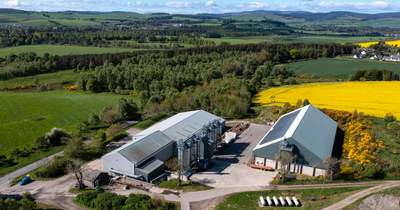 Former Caledonian Seeds site comes to market for £6.5 million
