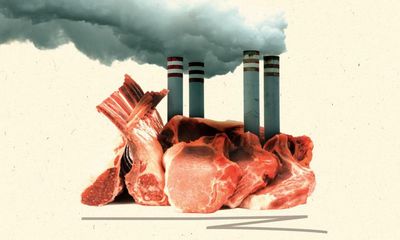 Meat, monopolies, mega farms: how the US food system fuels climate crisis