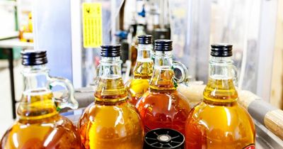 Cider Salon coming to Bristol's Trinity Centre this weekend with 90 varieties