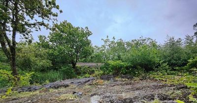 Smelly oily water is ruining a Neath canal