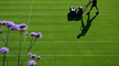 Wimbledon Courts Chief Has Global Vision for Tennis on Grass