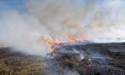 Burning ban failing to protect England’s peatlands, say conservation groups
