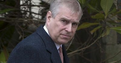 'Horrible' Prince Andrew slammed by former royal officer who says he has 'questions to answer'