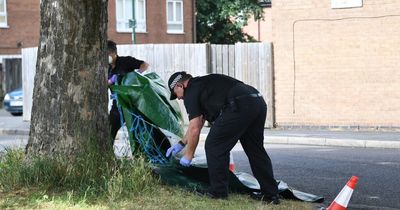 Meadows neighbours heard 'cry for help' after serious assault