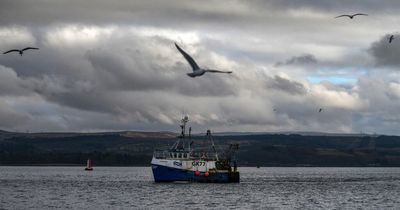 Fishing industry warns of ‘frightening’ future due to reduced access to waters