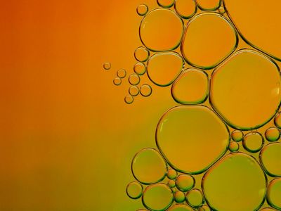 Intranasal Psychedelics Platform Is Here, Check Out Mindset's New Development