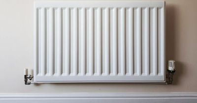Mum shares £1.50 radiator trick that makes your home smell 'amazing'