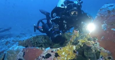 First EVER intact example of rare WW2 RAF bomber found by diver on seabed