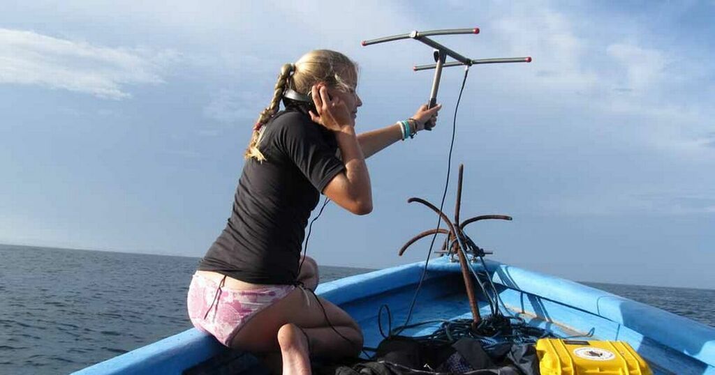 Meet the marine biologist on a mission to save sea…