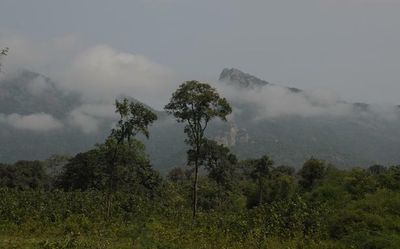 Madhav Gadgil stands his ground