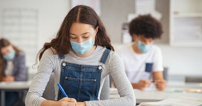 Covid infections could surge when schools go back in September, scientists warn