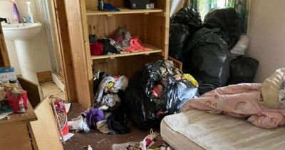 Revolting photos show state Cork apartment left in, with dead dog and 'rubbish up to the ceiling'