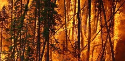 Climate change: wildfire risk has grown nearly everywhere – but we can still influence where and how fires strike