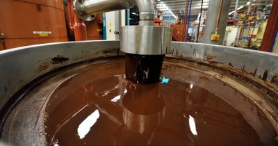 Salmonella shuts down world's biggest chocolate factory that supplies Nestle and Hershey