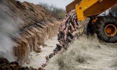 Denmark’s COVID mass mink cull had no legal justification, says report