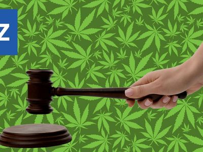 Cannabis Reg. Update: Supreme Court Judge Bans Smokable Hemp In TX, Kansas Officials Sued Over $120K Worth Product Seizure & More