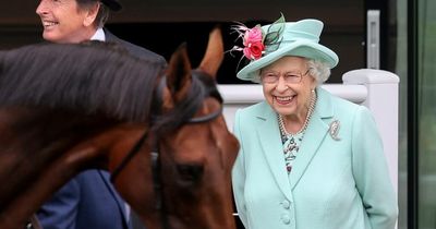 Jockey raves about Queen's new horse and 2023 Derby hope after Jubilee disappointment