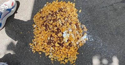 Dog owner's warning as mystery piles of 'poisoned' cereal left lying on London streets