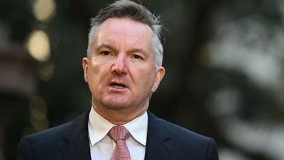 Carbon credit scheme to be reviewed: Bowen