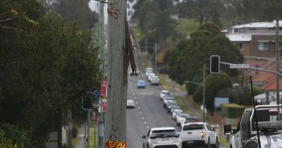 Power out in Waratah after vehicle hits pole