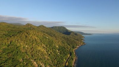 Fears for 'iconic' Wangetti Trail as project stalls and support withdrawn