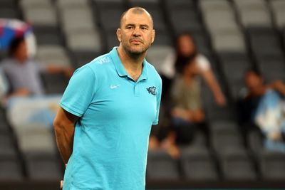 Globetrotter Cheika looking to revitalize Argentina