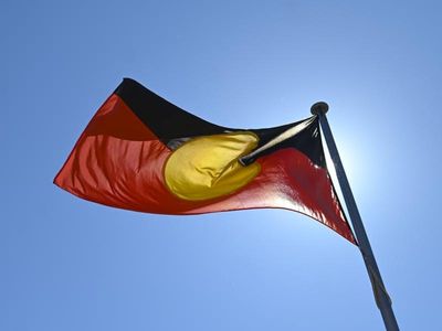 Inquiry into Indigenous children in care