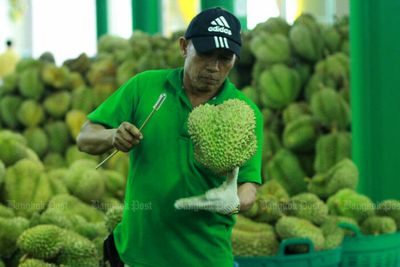 Exports beat forecast in May, weak baht a boost