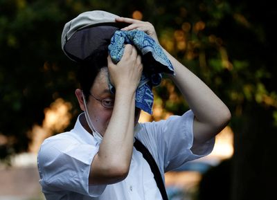 Japanese asked to save power as country's east sizzles