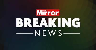 Off-duty garda seriously injured after hit-and-run in Limerick