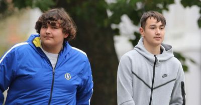 Unmasked: Teenage brothers who crushed carer's skull with log in savage attack