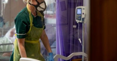 Covid cases will soon pass 300,000 a day in the UK and autumn wave could be worse