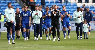 Keep or sell - Steve Morison faces big Cardiff City transfer decisions as he overhauls squad